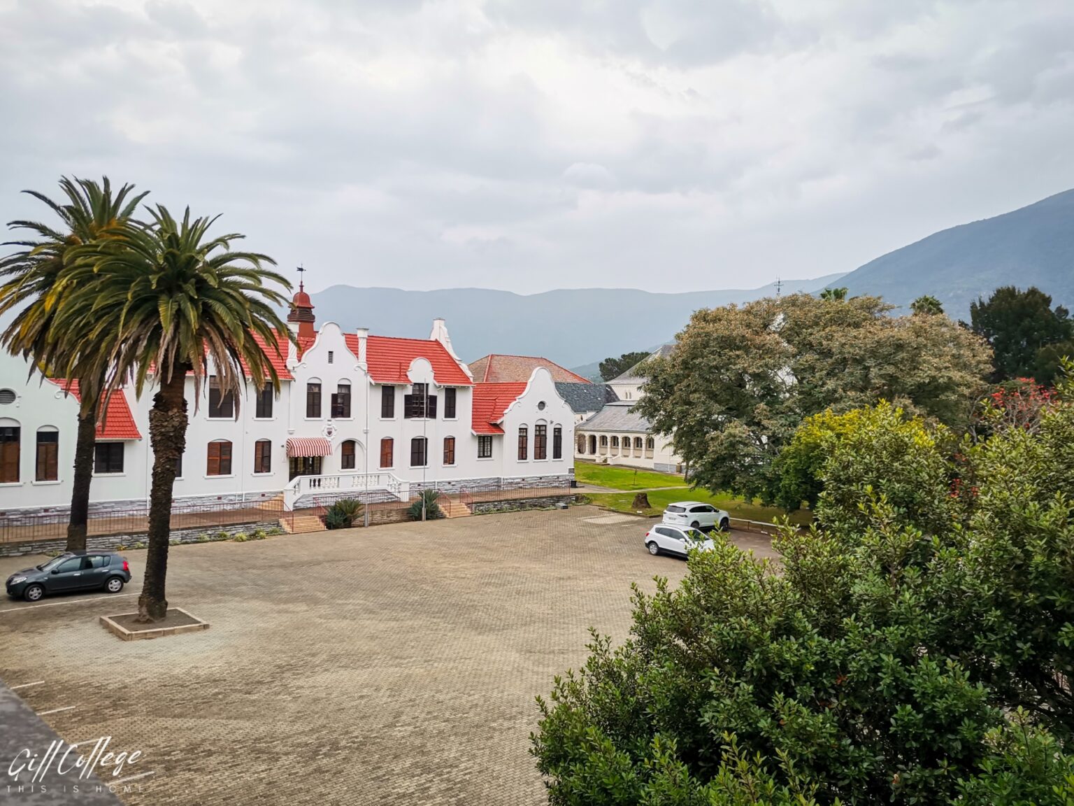 IMAGE_20250828_204000_449